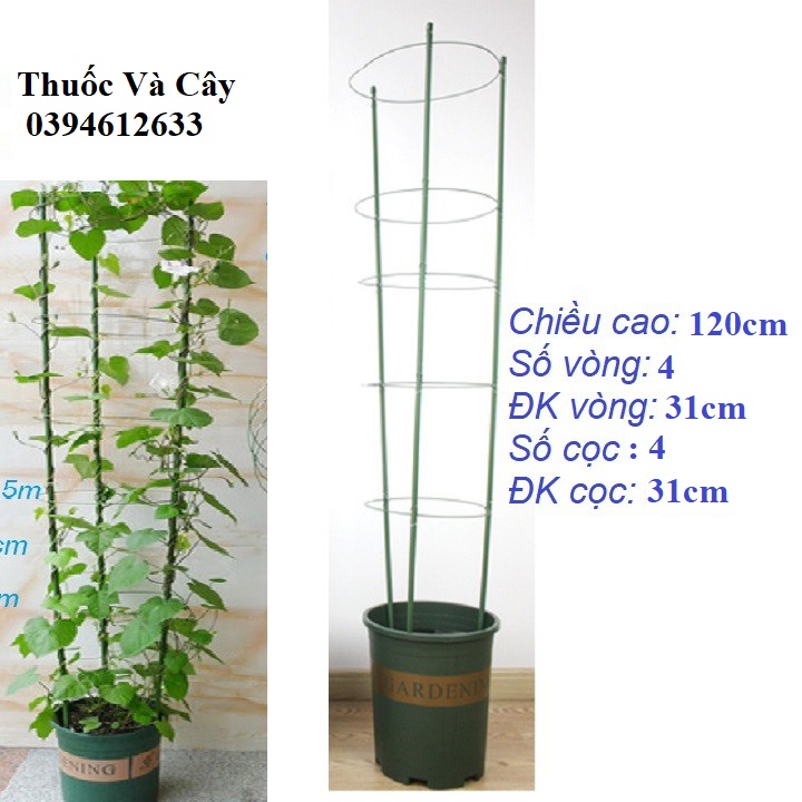 Khung Giàn Đỡ Cho Hoa Lan Và Hoa Hồng, Tháp Trụ Leo Đa Năng Cho Cây Trồng