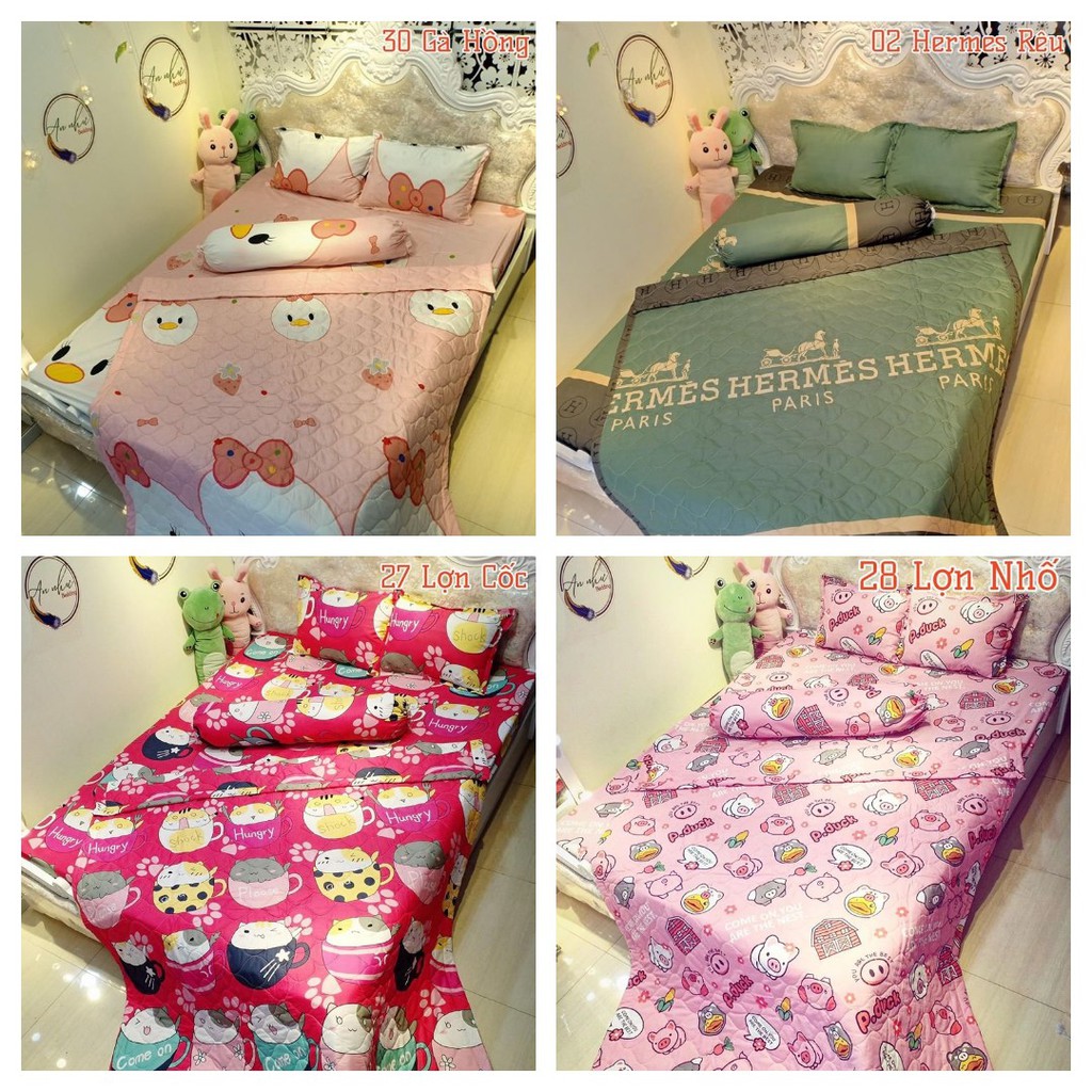 Chăn Hè Thu Trần Bông, Mền Trần Bông, Chăn Trần Bông 1m8x2m, Được Chọn Mẫu, MÃ 2093