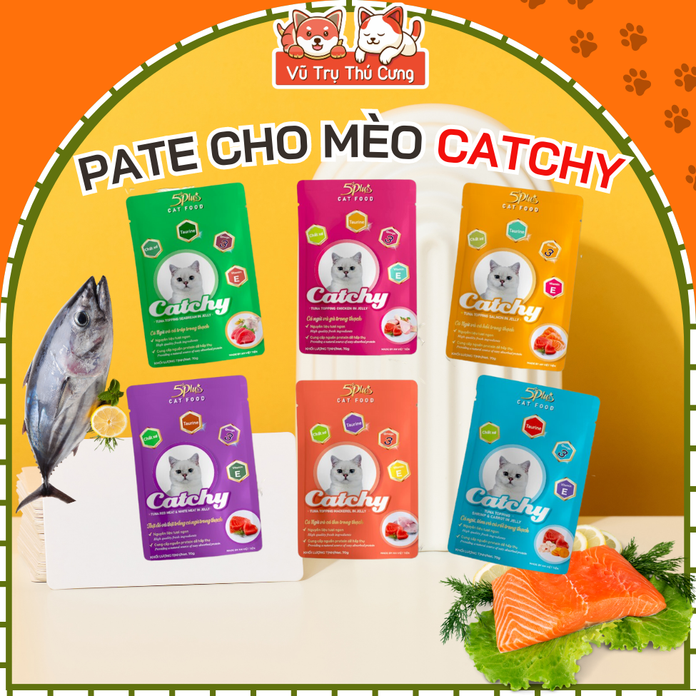 Pate Catchy 5Plus cho mèo dạng gói 70g Thức ăn ướt cho Mèo cung cấp nhiều