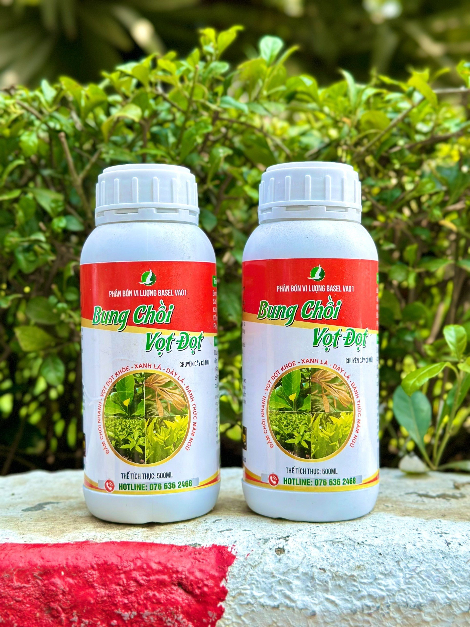 Bung chồi vọt đọt - chuyên cây có múi 500ML