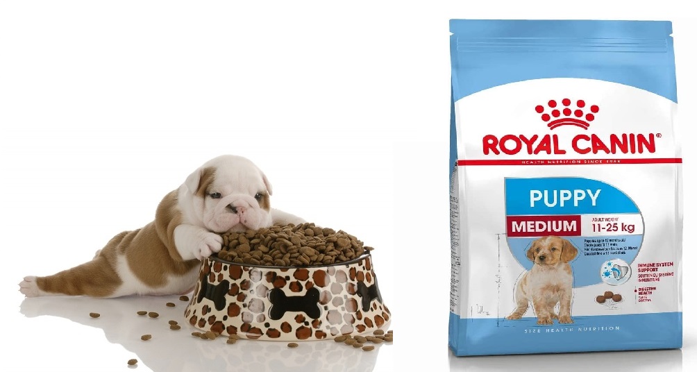 Hcm]royal canin - thức ăn hạt cho chó con giống vừa medium puppy - 4kg