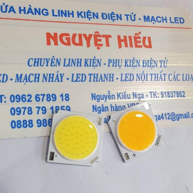 Nhân đèn led COB 20W