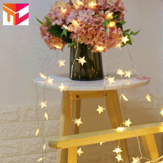 Dây đèn led ngôi sao màu trắng ấm không nháy dài 6m - 40 bóng đầu cắm USB trang trí Noel tết lễ hội