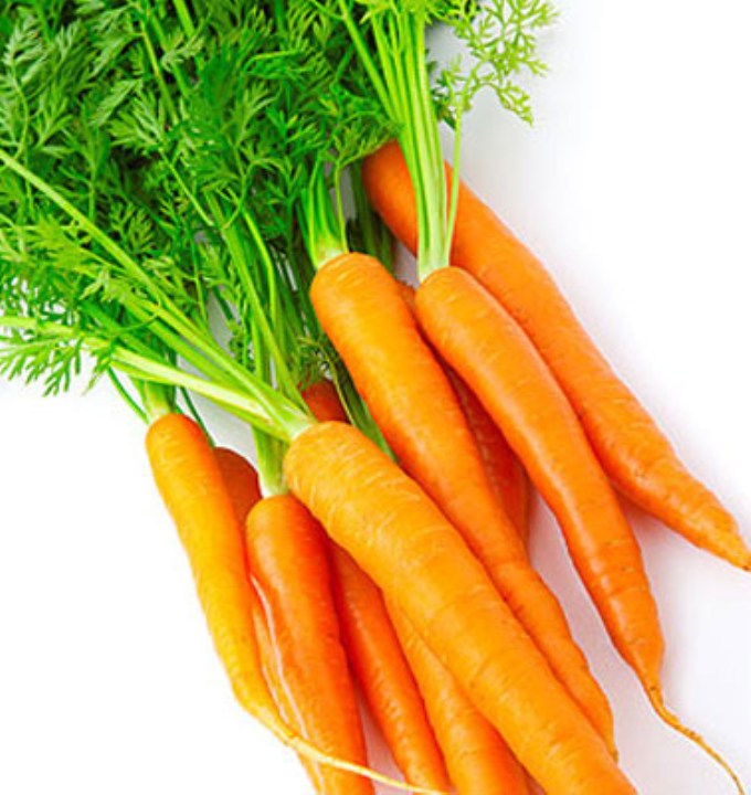 hạt giống cà rốt gói 300 hạt mua từ 50k tặng 2 sản phẩm