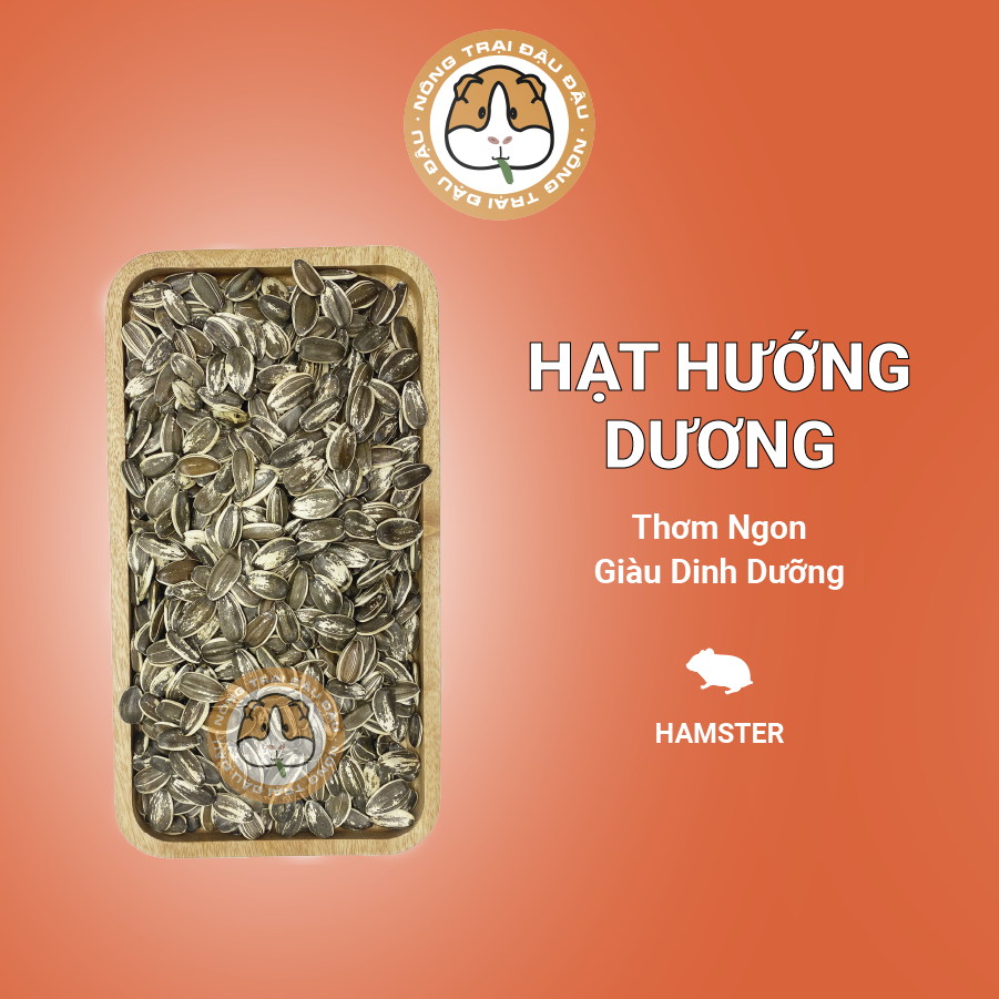 Hạt hướng dương cho hamster, vẹt, chim, sóc bổ dưỡng 100g
