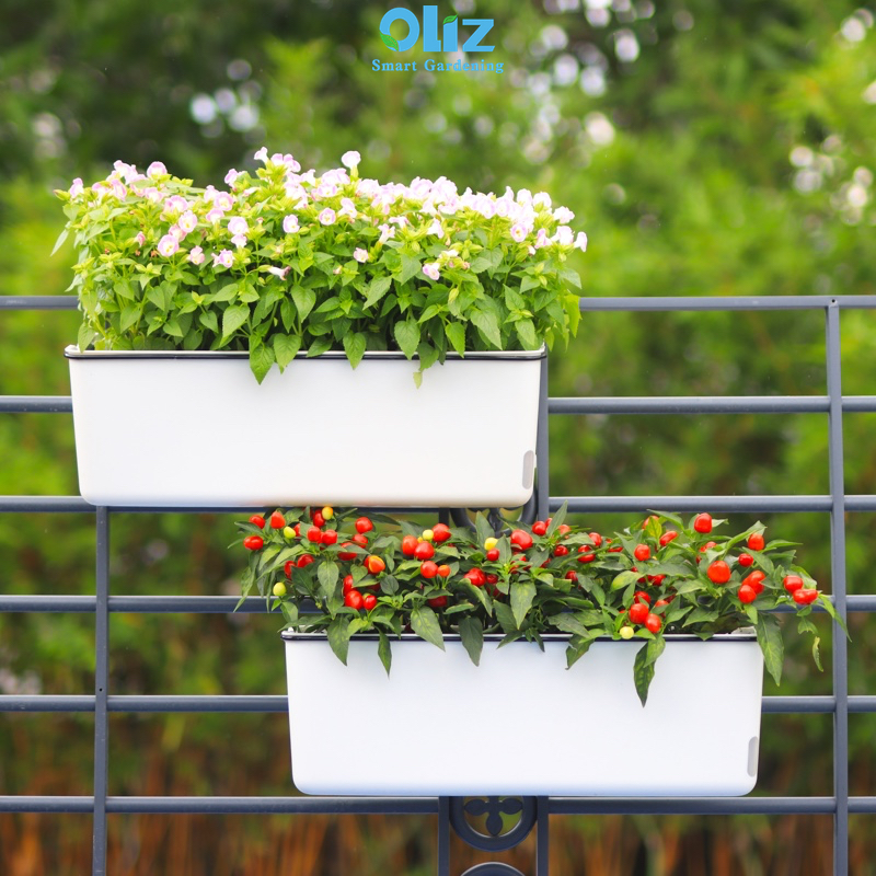 Chậu nhựa trồng cây oliz a207 hanger - chậu trồng cây tự tưới. có bao gồm giá treo