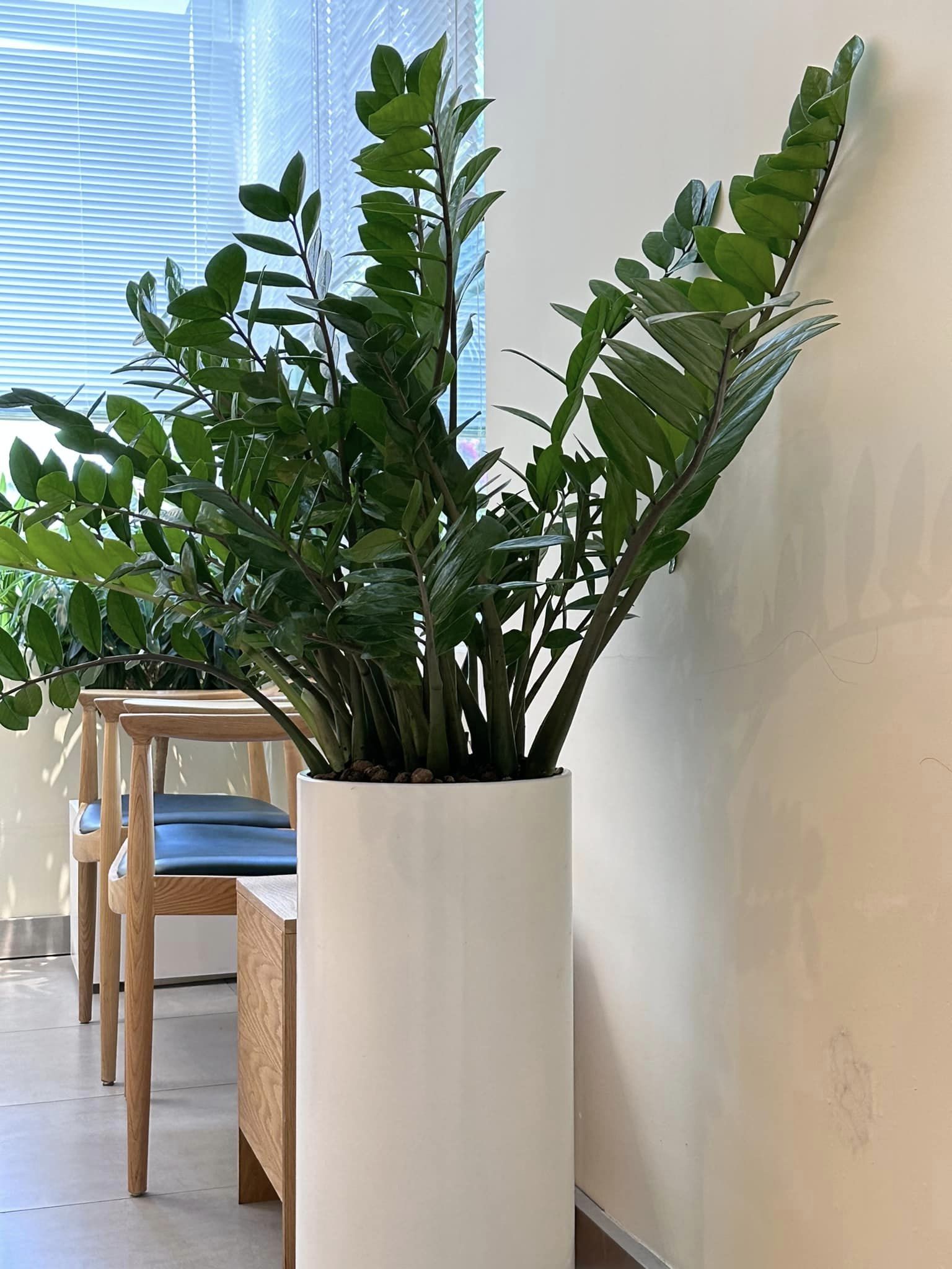 Chậu composite trụ tròn 30x70 HomeViet