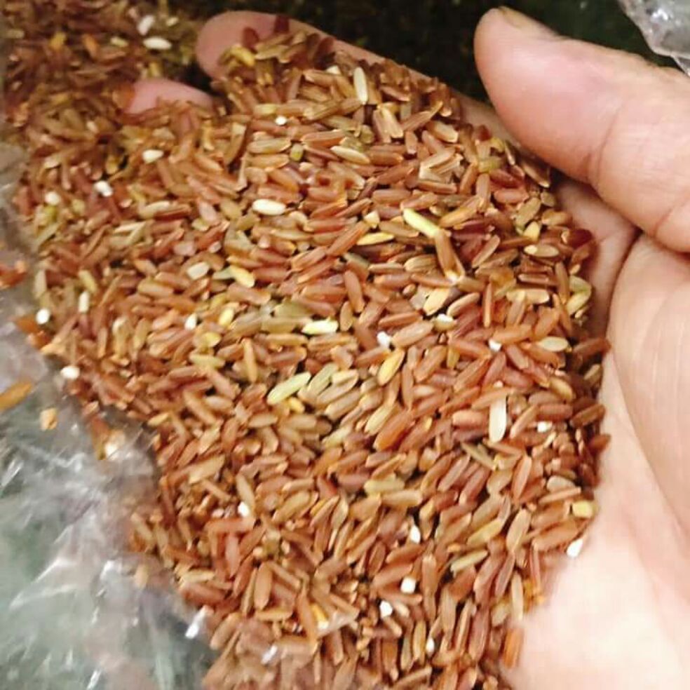 1kg gạo lứt huyết rồng yên thành nghệ an