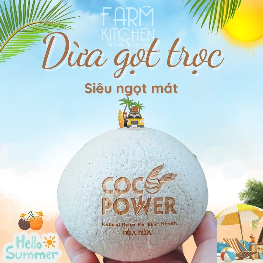 Dừa dứa Coco Power hướng hữu cơ, thơm lá dứa, rất ngọt, Chọn hỏa tốc để giao 2h