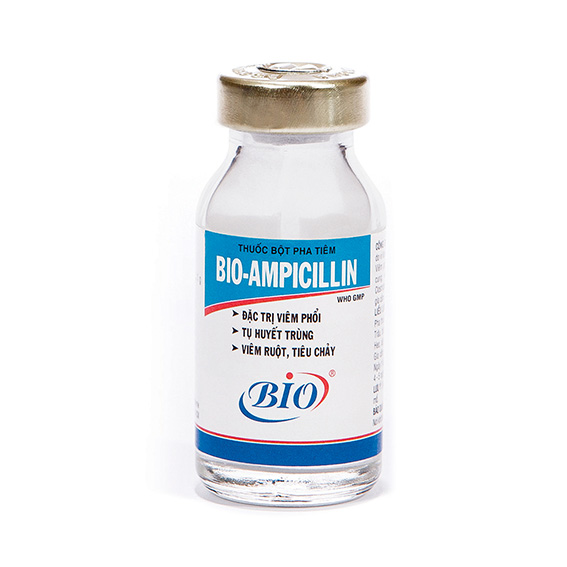 Bio ampicillin 10ml - thuốc bột trị viêm phổi, tụ huyết trùng, viêm ruột, tiêu chảy cho trâu bò, heo, gia cầm, dê, cừu - sỉ lẻ thuốc thú y