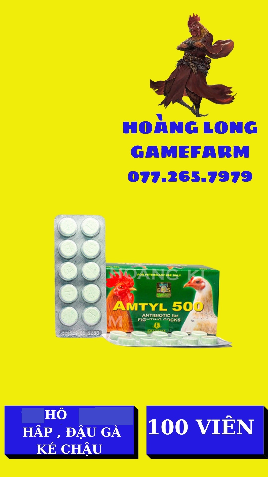 AMTYL 500 .VỈ 10 viên dùng cho gà sỗ mũi khò khè, tiêu chảy