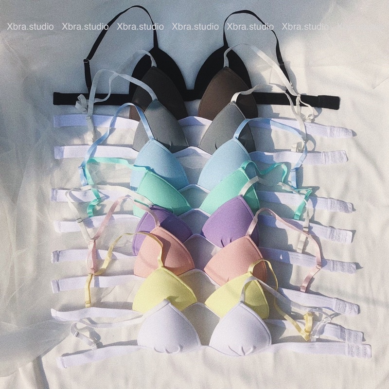 Áo lót bralette cotton MÚT ĐÍNH LIỀN không gọng tone màu pastel