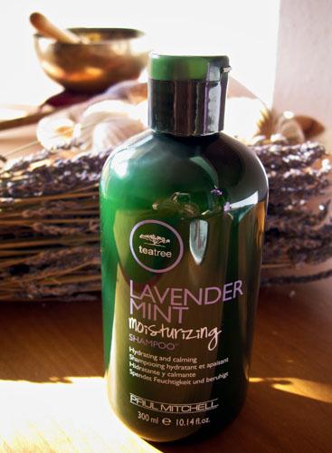 Dầu gội cung cấp độ ẩm cho tóc khô Lavender Mint Moisturizing Shampoo Paul Mitchell 300ml