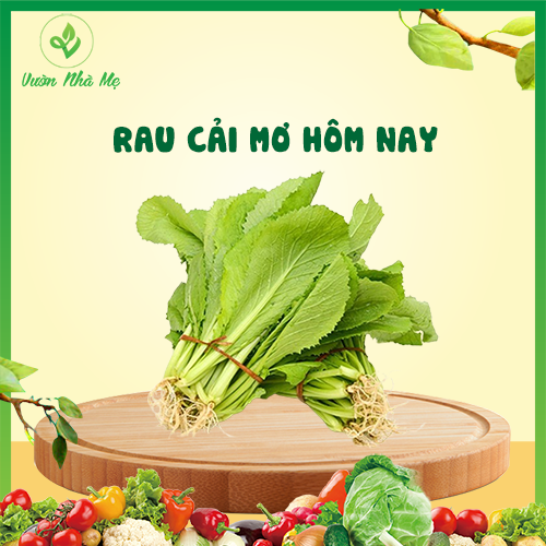 [Giao nội thành Hà Nội] Rau cải mơ Vườn Nhà Mẹ - 1kg rau cải canh tươi xanh, giàu chất xơ - Rau củ quả tươi, sạch, chuẩn VietGap