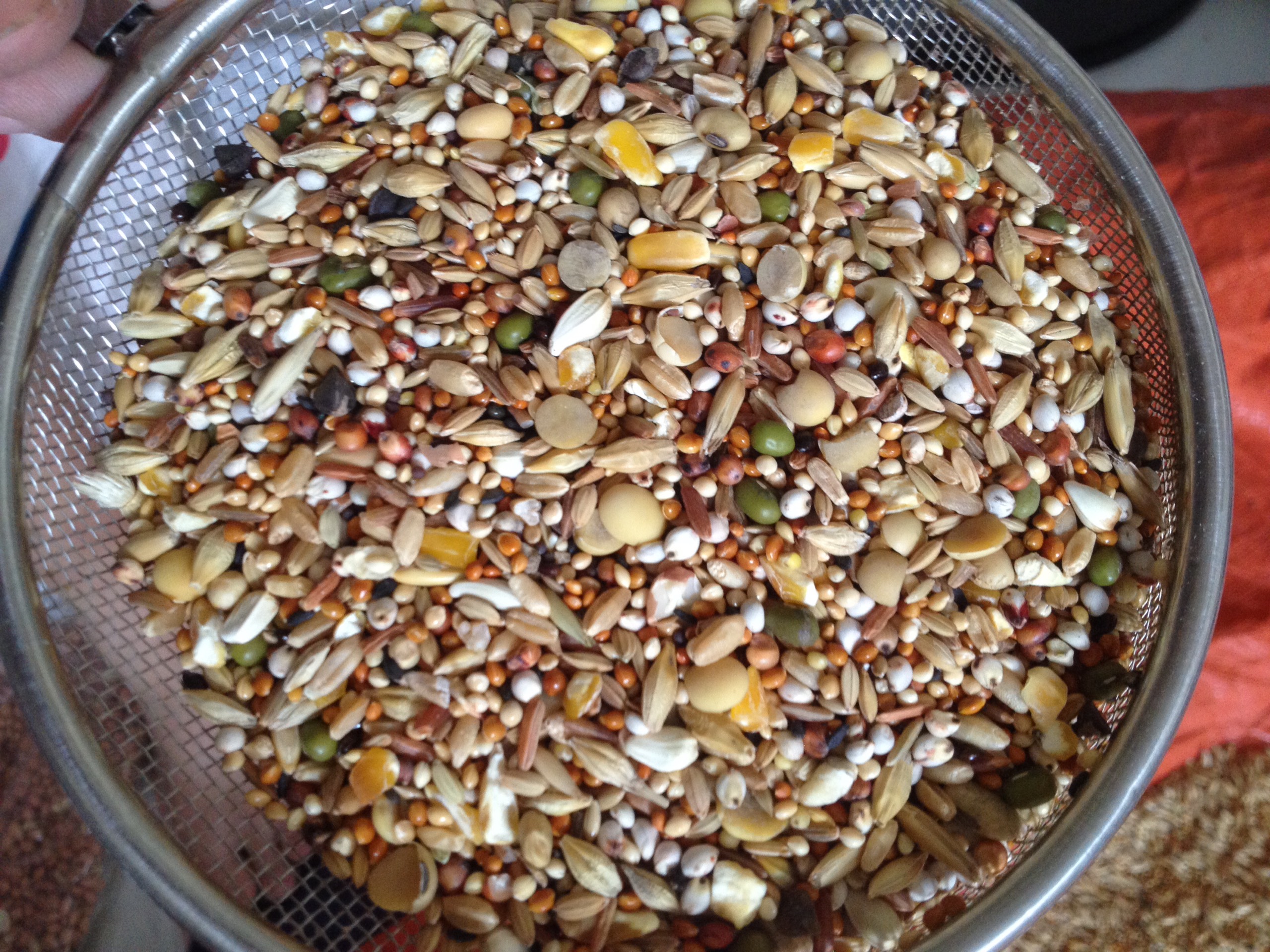 hạt tổng hợp - ngũ cốc cho gà đá 1kg