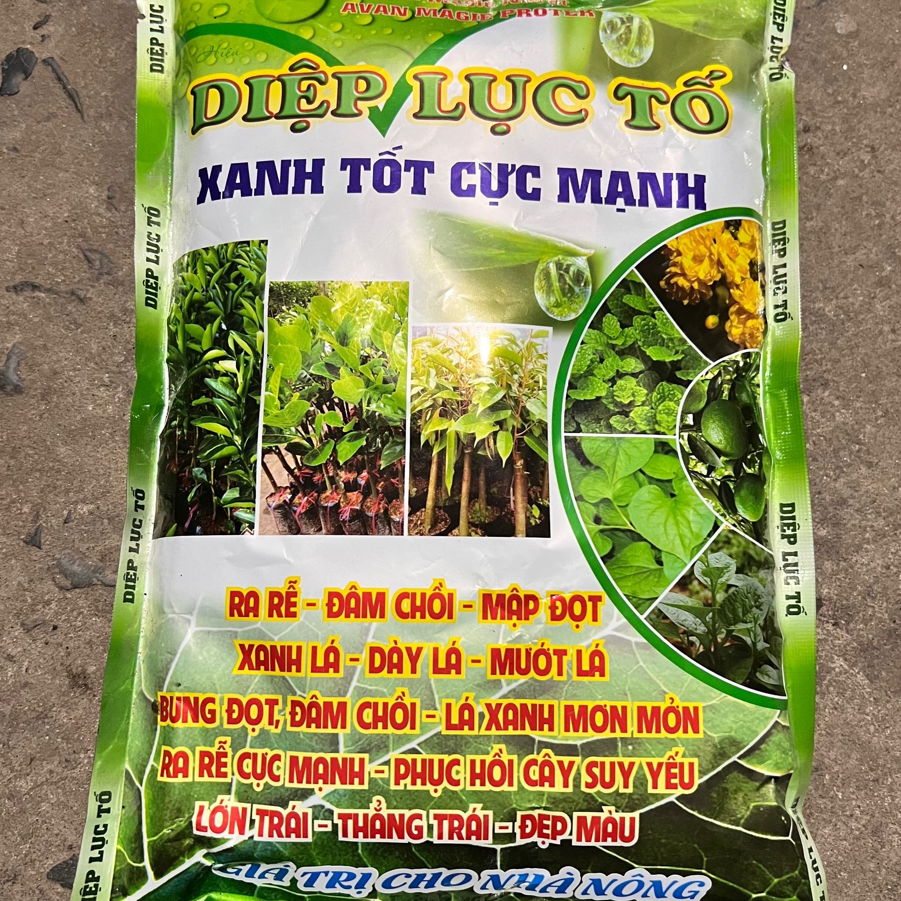 Phân bón diệp lục tố xanh lá dày lá cực nhanh dưỡng rễ đâm chồi