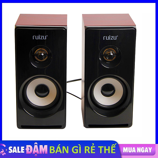 LOA VI TÍNH RUIZU RS-810