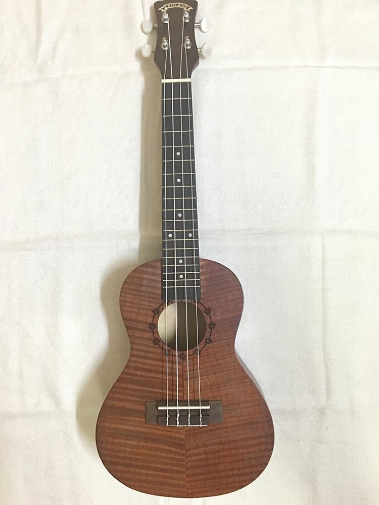 Đàn Ukulele Concert Gỗ Anh Đào mẫu 21 size 23 + Bao da cao cấp - HÀNG CÓ SẴN