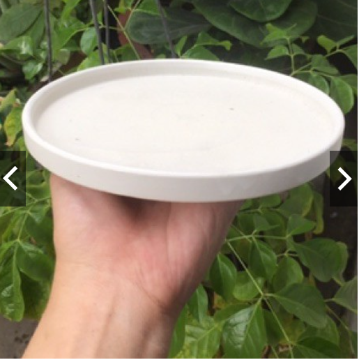 Đĩa sứ tròn lót chậu - đĩa lót chậu bằng sứ - đĩa lót chậu trồng cây - đĩa kê chậu trồng cây hình tròn