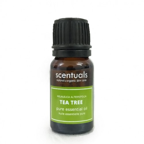 Tinh dầu tràm trà – 100% pure tea tree essential oil 10ml sản phẩm cùng loại