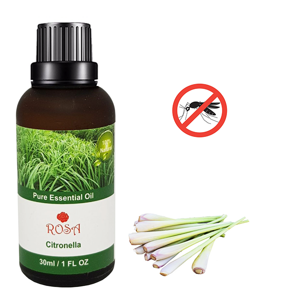 Tinh dầu sả Java 30ml đuỗi muỗi xông phòng thư giãn ngâm tắm pha với nước lau sàn nhà gội đầu massage xịt phòng khử mùi...