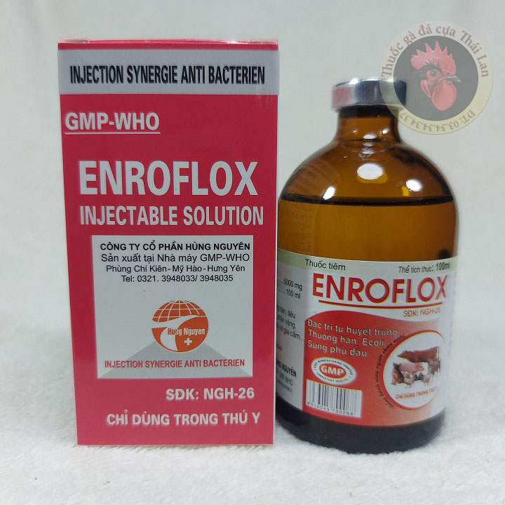 ENRO FLOX - đặc trị tụ huyết trùng , thương hàn , e.coli , sưng phù đầu - gia súc , gia cầm - 1 lọ / 100ml