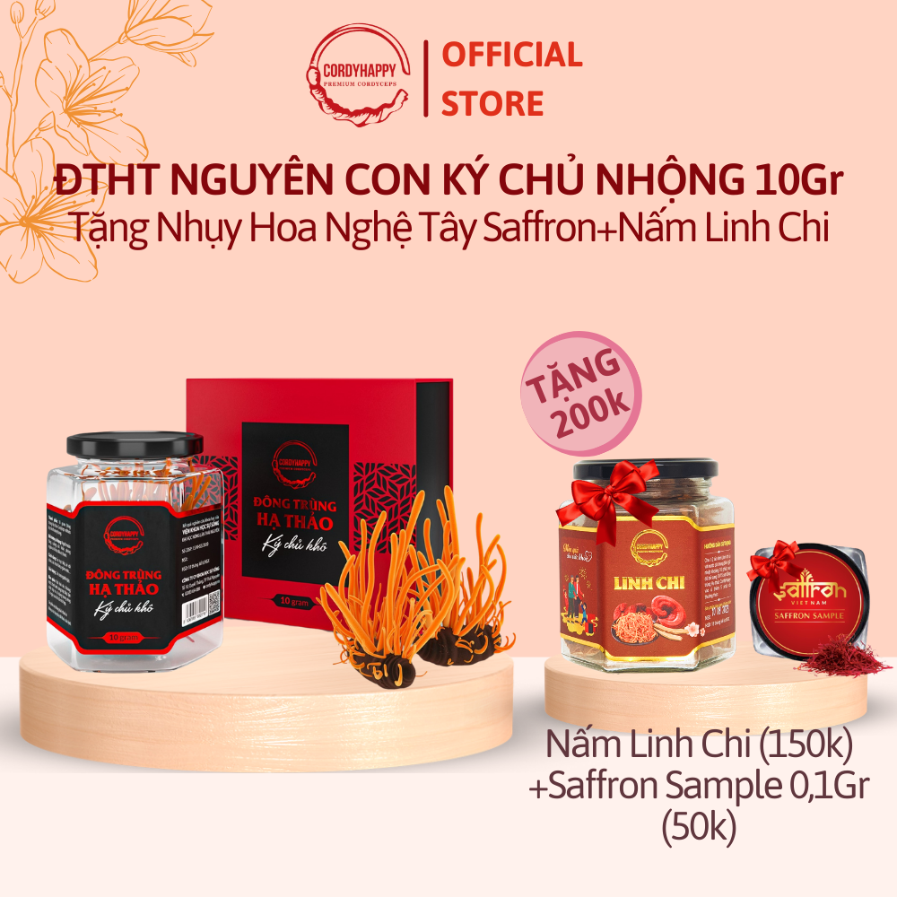 Đông trùng hạ thảo nguyên con ký chủ nhộng tằm cordyhappy - hộp 10g