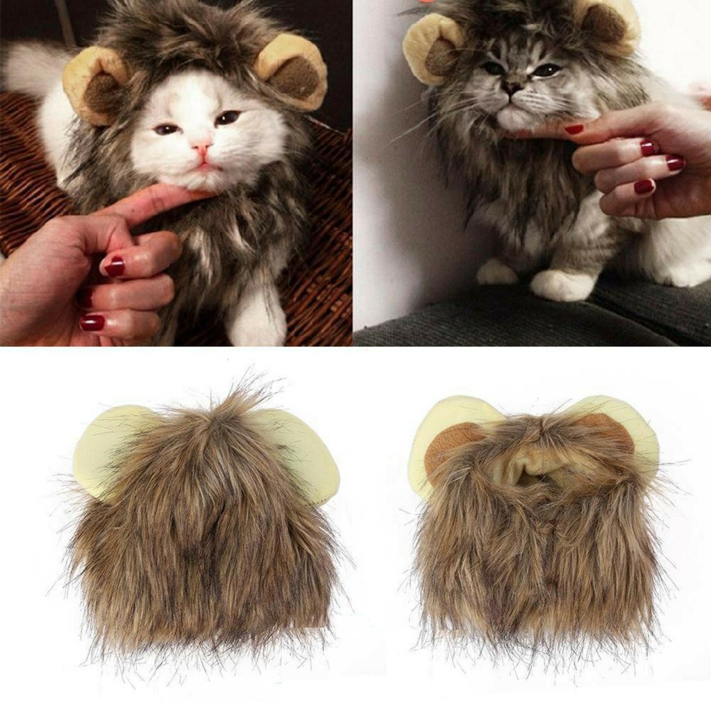 [HCM]Mũ Cosplay Tạo Hình Sư Tử Cho Mèo Dưới 8Kg Siêu Đáng Yêu