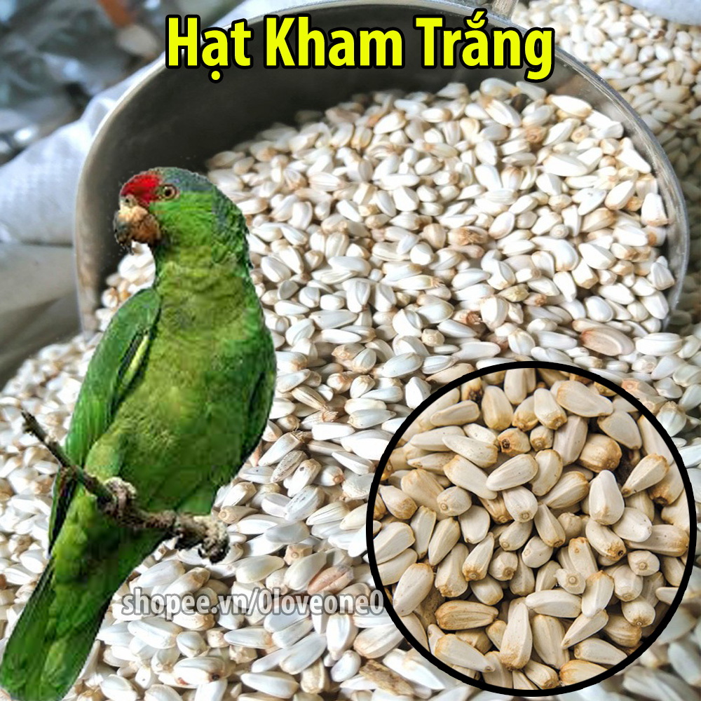 1kg Kham Trắng Giàu Dưỡng Chất Cho Vẹt-Gà-Chim
