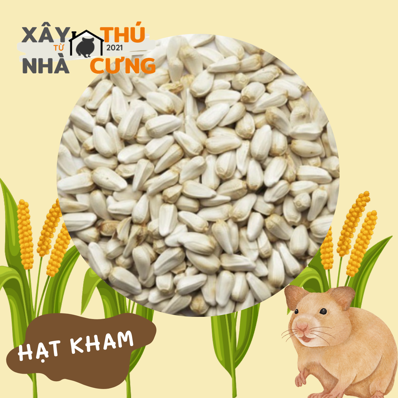Hạt kham 100 gram dinh dưỡng cho hamster và thú cưng