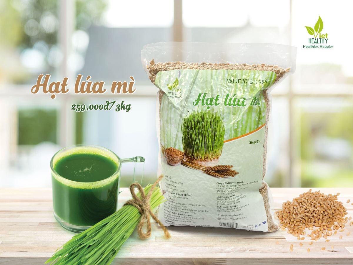 Hạt giống cỏ lúa mì Viethealthy 3kg