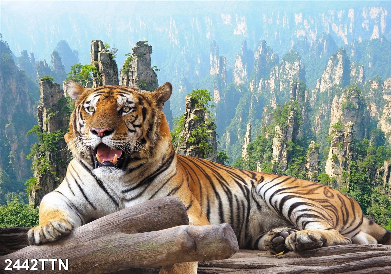 Tranh dán tường 3D, decal dán tường 3D, có sẵn keo, bóc dán dễ dàng trên mọi mặt phẳng - PTM2442