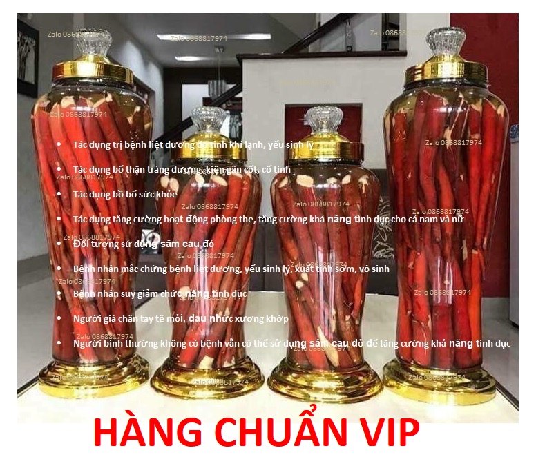 .6BỘ SÂM CAU ĐỎ SIÊU ĐỈNH KHÔ hoặc TƯƠI KHẮC TINH-LIỆT-DƯƠNG+YẾU-SINH-LÝ-MỆT MỎI-BỔ-THẬN-TRÁNG-DƯƠNG-KIỆN GÂN CỐT-BỒI BỔ SCD T 2.5