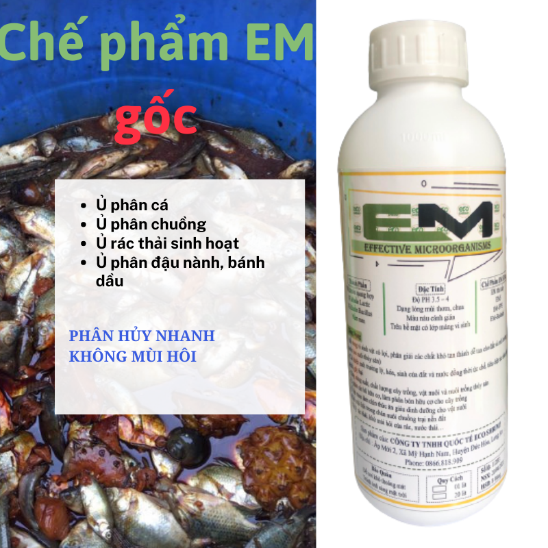 Chế phẩm em gốc , em-1 mật độ vi sinh cao