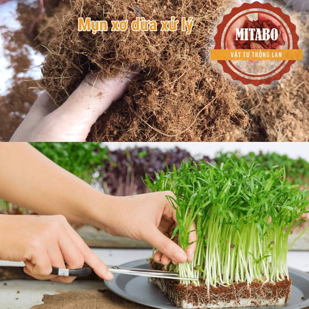 1kg xơ dừa mùn dừa giá thể trồng rau, hoa màu, dâu tây và phương pháp thủy canh Mitabo