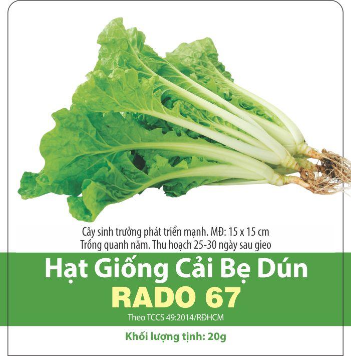 Hạt Giống Cải Bẹ Dún Giòn Ngọt, Dễ Trồng (10gr)