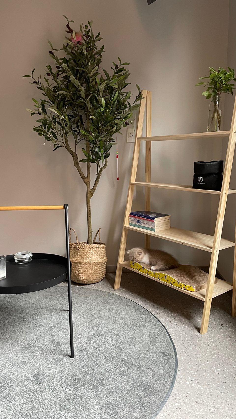 Kệ gỗ để đồ 4 ngăn, Kệ gỗ chữ A trang trí