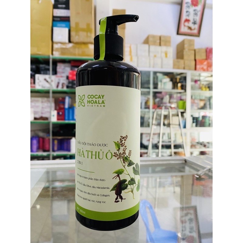 [HCM][GIÁ RẺ NHẤT] Dầu Gội Thảo Dược Hà Thủ Ô- Gội Xả 2in1 800ml Giảm Rụng Tóc Giảm Bạc Tóc Kích Thích Sắc Tố Mầm Tóc Làm Đen Tóc - Cocayhoala 800ML