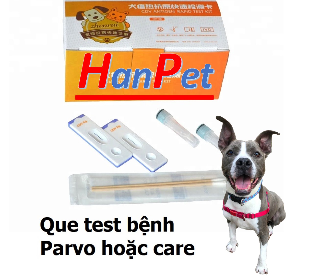 HCM-1 que - Test bệnh parvo trên chó  que thử bệnh chó-HP11022TC