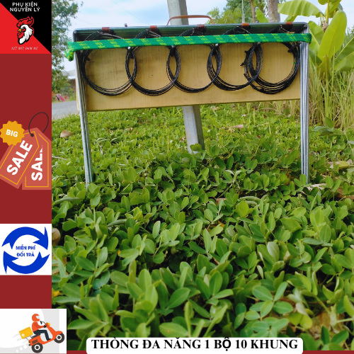 Thòng khung đa năng bẫy chồn, bìm bịp, chim cuốc 1 bộ 10 khung-tặng 5 vòng sơ cua