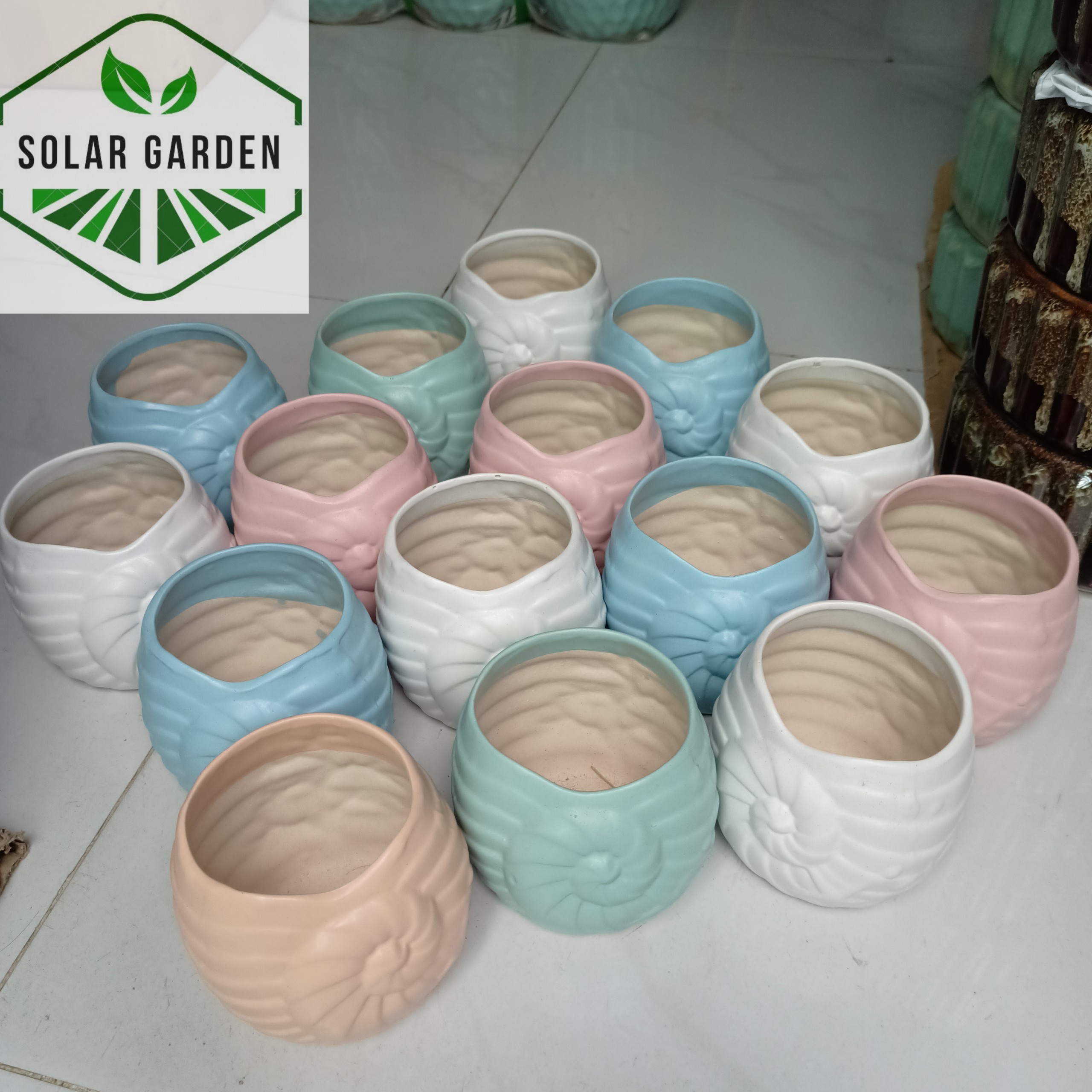Chậu sứ men mát hình sò - nhiều màu - solar garden chậu trồng cây