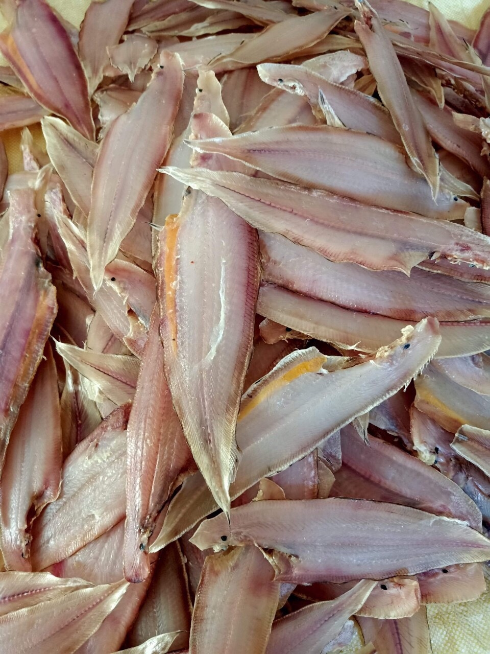 500gr khô cá lưỡi trâu sạch