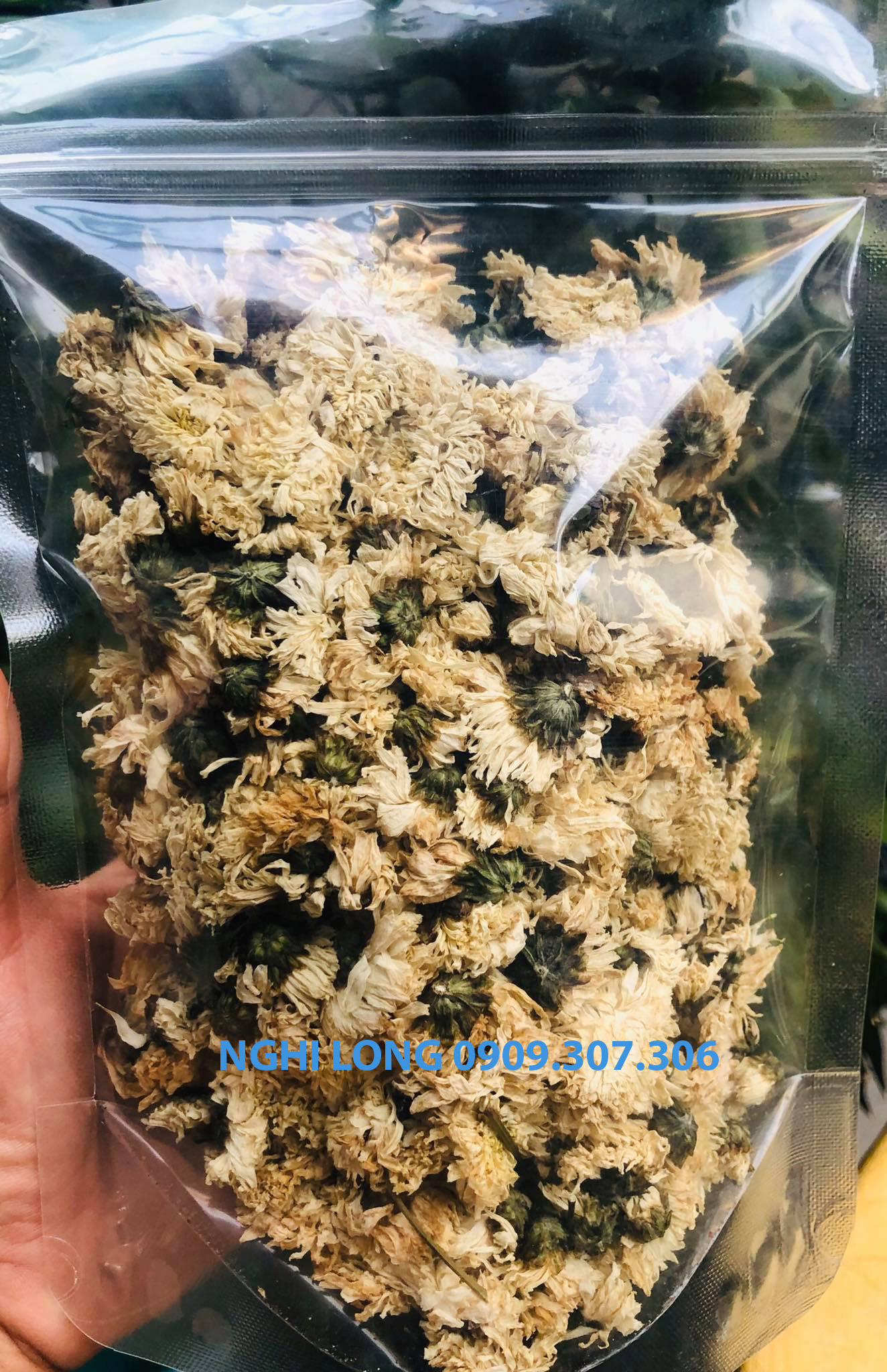 Bông cúc trắng xấy khô 500g