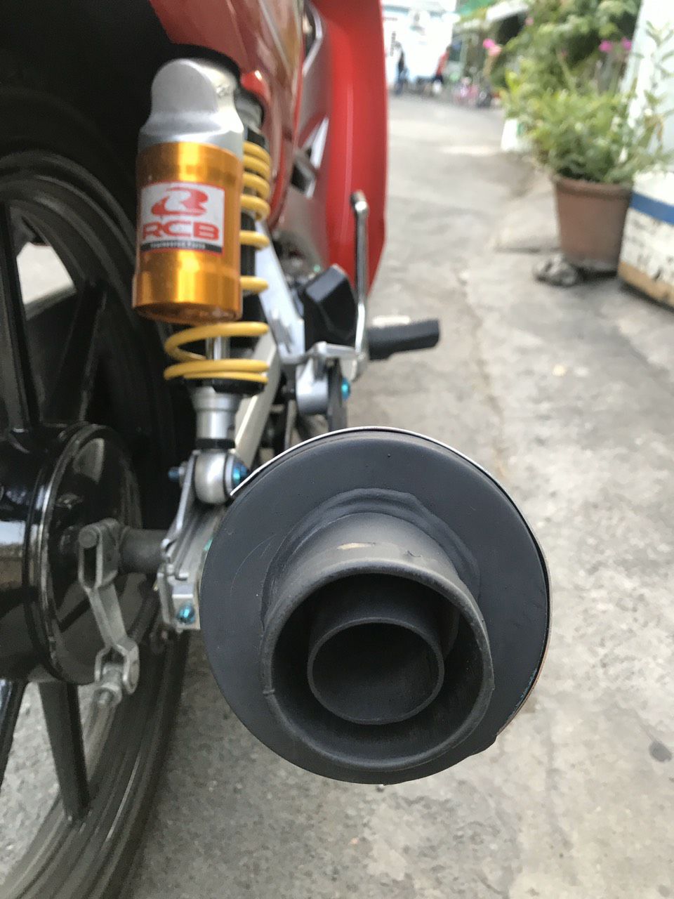 Lon pô cbr redleo