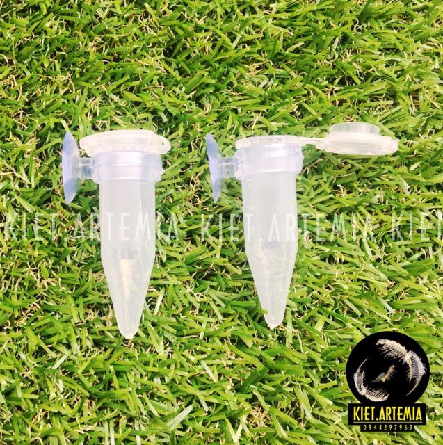Ống Artemia Nhỏ Giọt