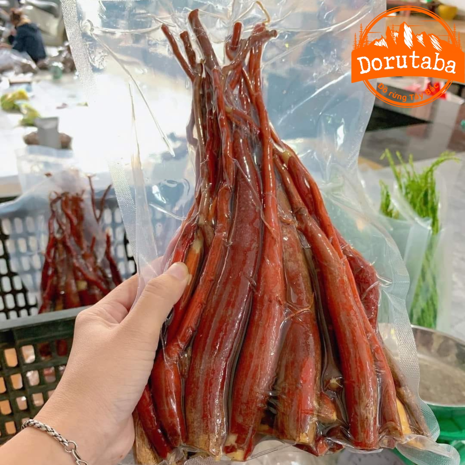 Sâm cau đỏ rừng tươi ngâm rượu loại 1 1kg, đã làm sạch, hút chân không, khai thác rừng sâu Tây Bắc giúp tăng cường sinh lý nam