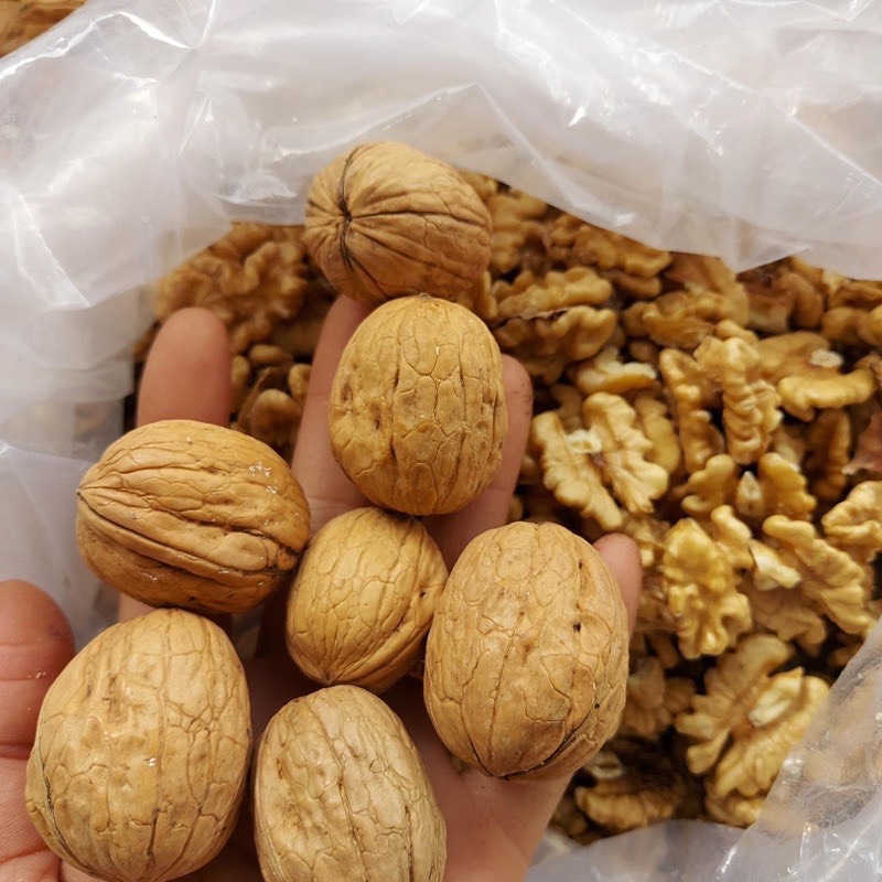 Quả hạt óc chó giấy vàng hàng mỏng vỏ, mới nhất, thơm ngon nguyên vỏ sấy khô túi 500g - 1kg
