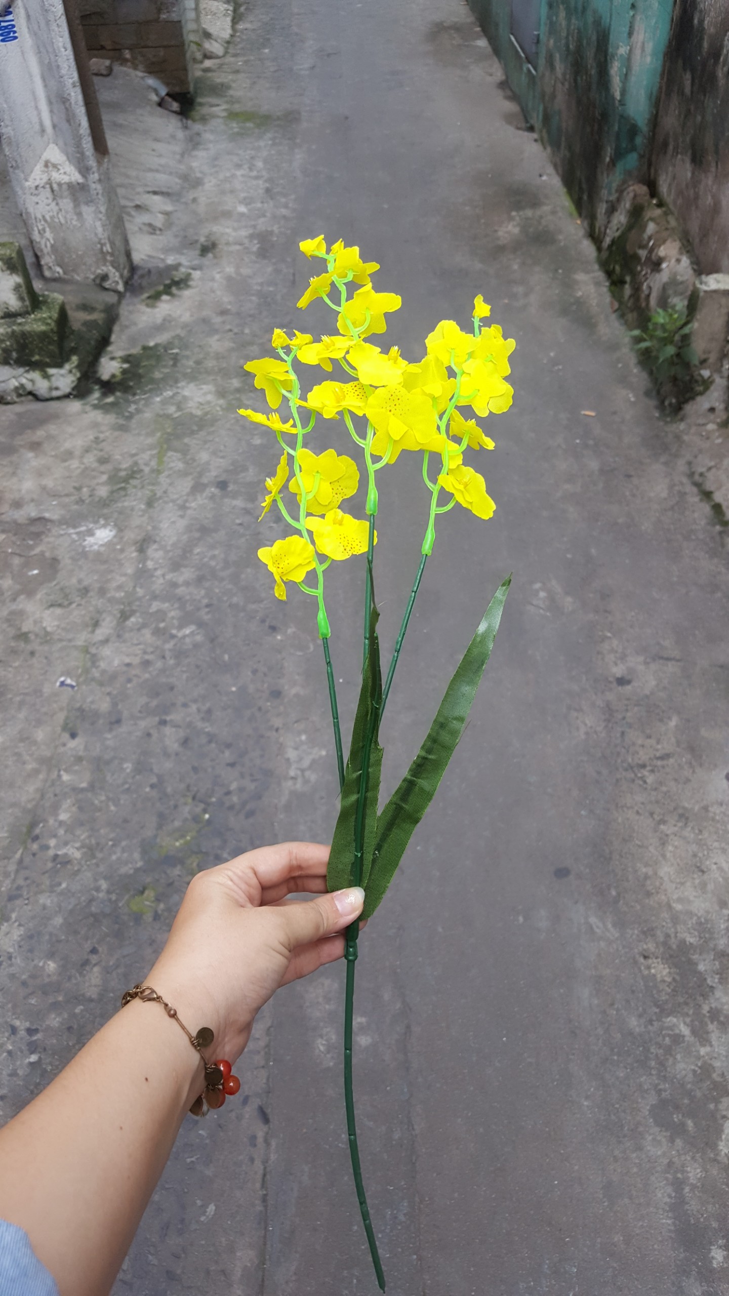 10 cành lan vũ nữ giả 3 nhánh 60cm - Hoa giả - Hương Flower