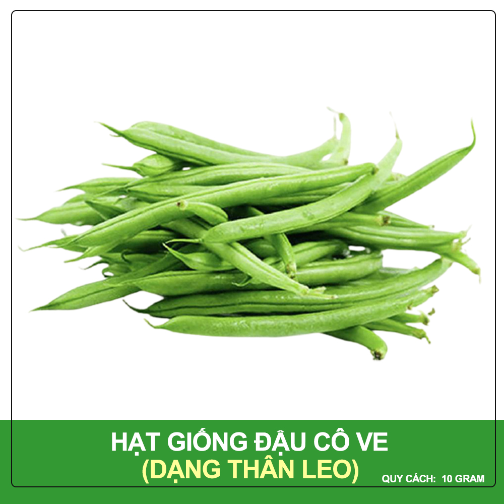 Hạt Giống Đậu Cove Trắng Dạng Leo Phú Nông Gói 10 gram