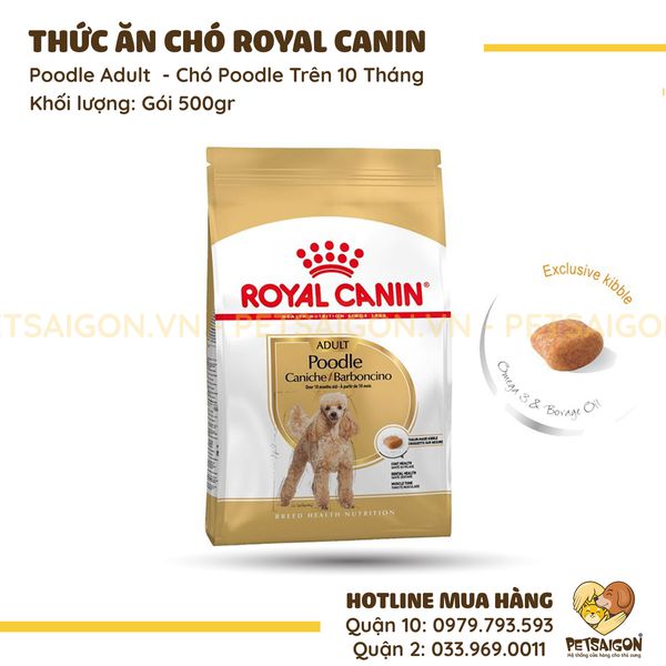 Royal canin poodle adult - thức ăn cho chó poodle trên 10 tháng
